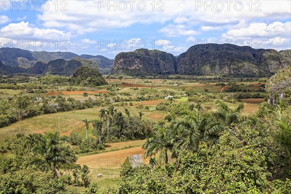 View from the Mirador Los Jazmines viewpoint of the landscape