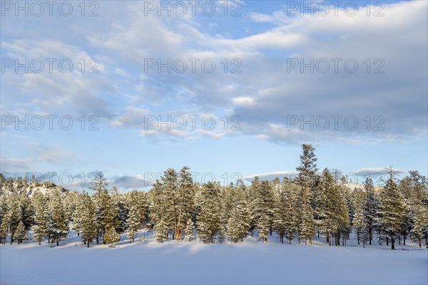 Snowfall in Bryce Canyon