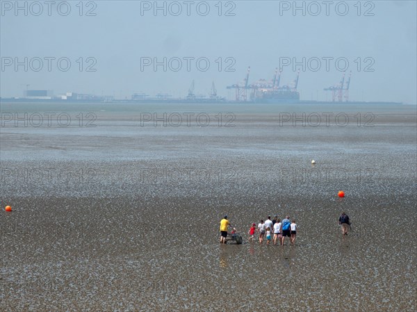 Set off on a guided mudflat walk on the coast of Butjadingen in the Lower Saxony Wadden Sea National Park