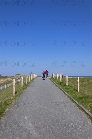 Cyclist