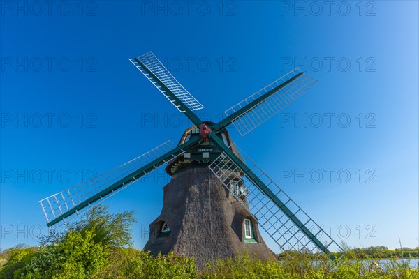 Windmill Charlotte