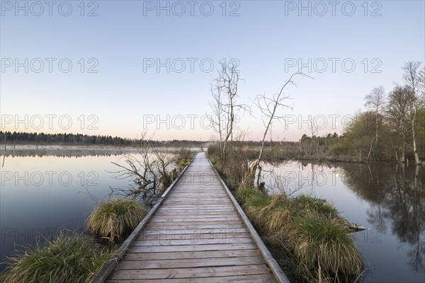 Wooden footbridge in the Schwenninger moss nature reserve