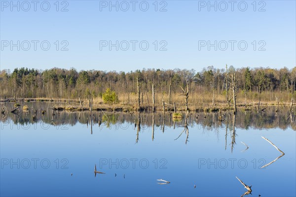 View over the Schwenninger moss