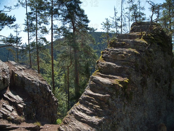 Hiking trail on the wooded slope between Schlagabach and Meuraberg along the Schlagethal in the Schwarza-Sormitz area