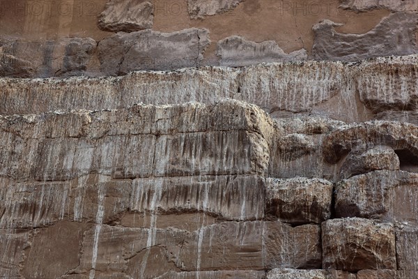 Wall contaminated by pigeon droppings