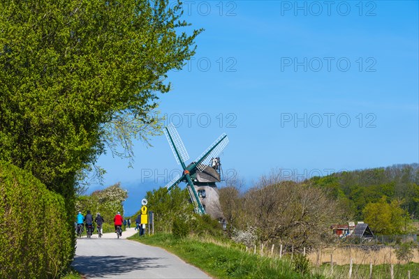 Windmill Charlotte