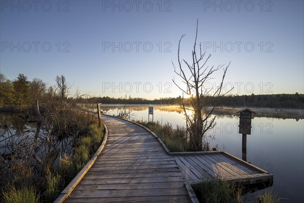 Wooden footbridge in the Schwenninger moss nature reserve