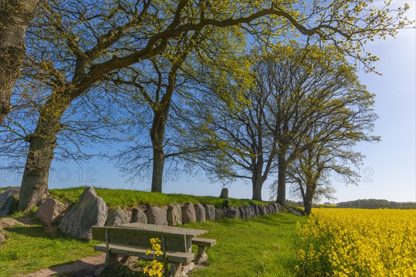 Megalithic grave Karlsminde