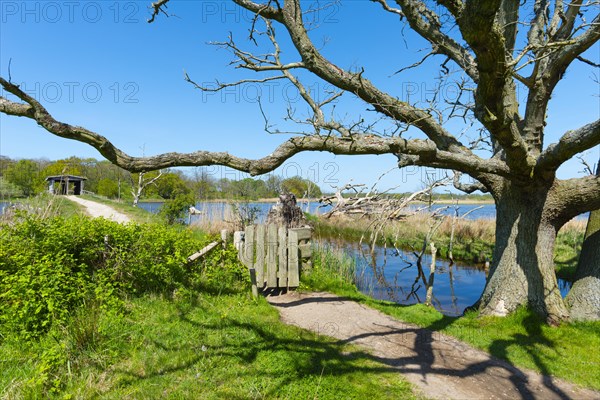 Nature reserve