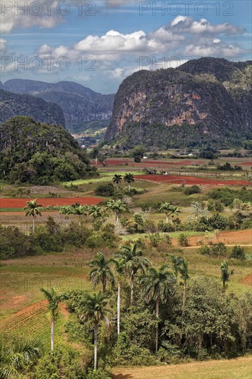 View from the Mirador Los Jazmines viewpoint of the landscape