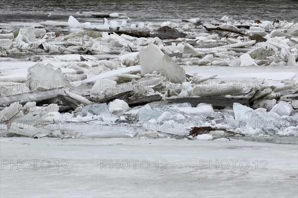 Pack ice in spring