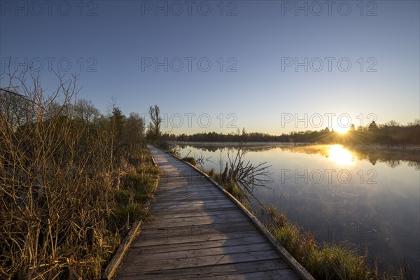 Wooden footbridge in the Schwenninger moss nature reserve