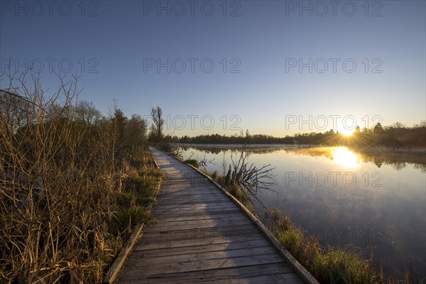 Wooden footbridge in the Schwenninger moss nature reserve