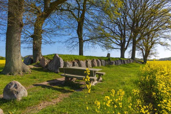 Megalithic grave Karlsminde