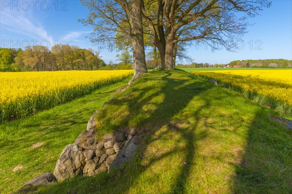 Megalithic grave Karlsminde