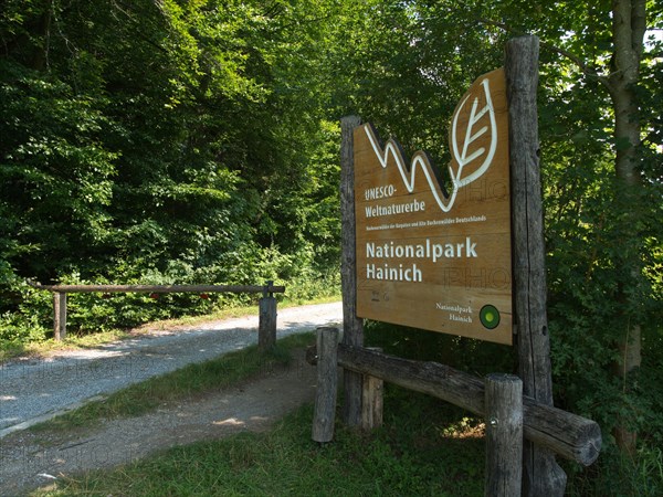 Entrance to the Hainich National Park