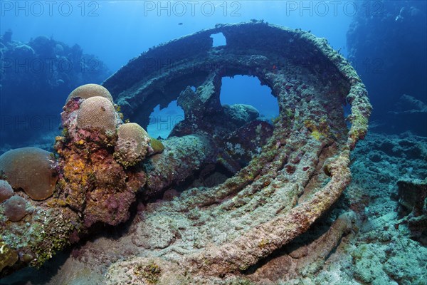 Tooth rim of gun turret