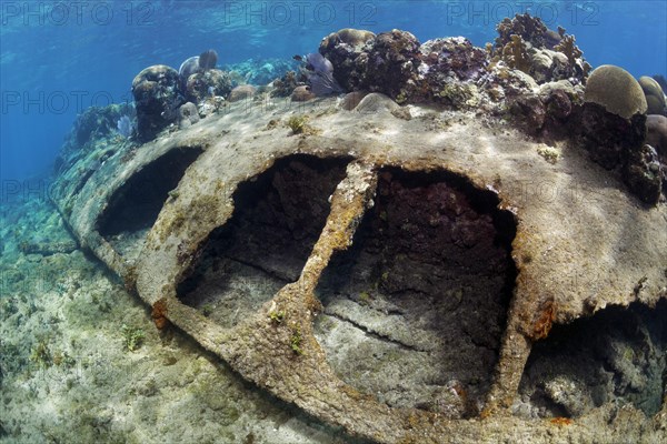 Shipwreck