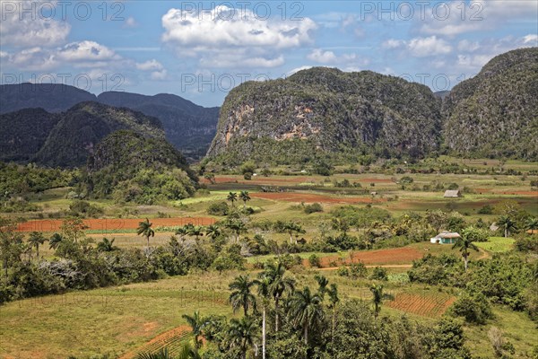 View from the Mirador Los Jazmines viewpoint of the landscape