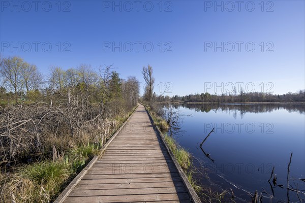 Wooden footbridge in the Schwenninger moss nature reserve