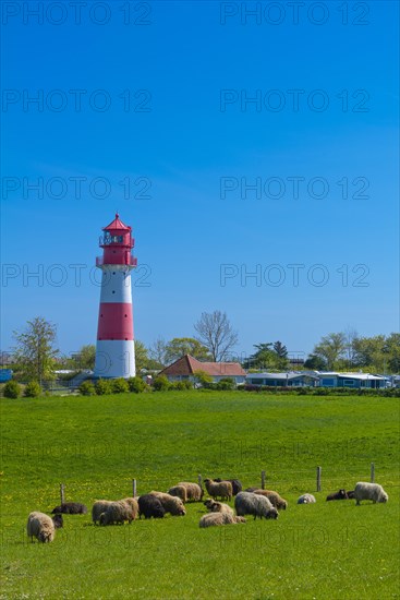 Falshoeft lighthouse