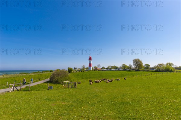 Falshoeft lighthouse