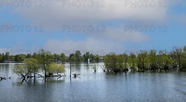 Nature reserve on the Oberhavel near Hennigsdorf