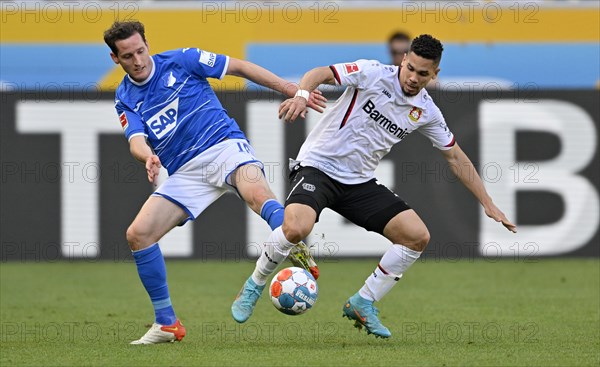 Sebastian Rudy TSG 1899 Hoffenheim vs Paulinho Bayer 04 Leverkusen