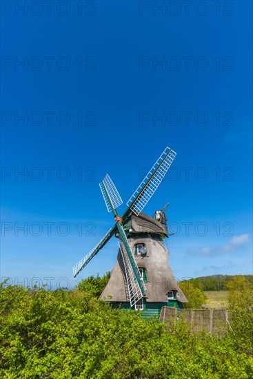 Windmill Charlotte