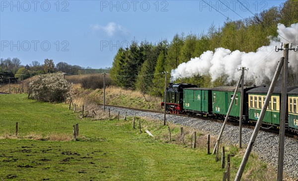 The historic railway Rasender Roland on the holiday island of Ruegen