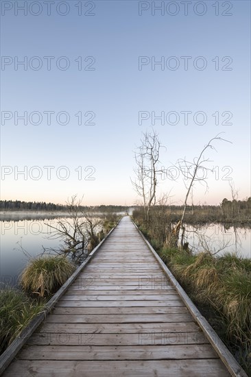 Wooden footbridge in the Schwenninger moss nature reserve