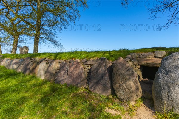 Megalithic grave Karlsminde