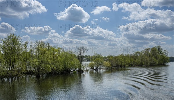 Oberhavel nature reserve near Hennigsdorf