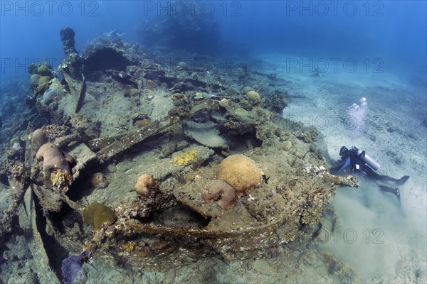 Diver explores shipwreck