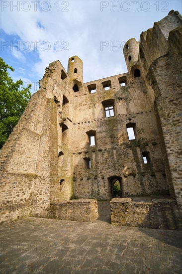 Hoher Schwarm Castle Ruin