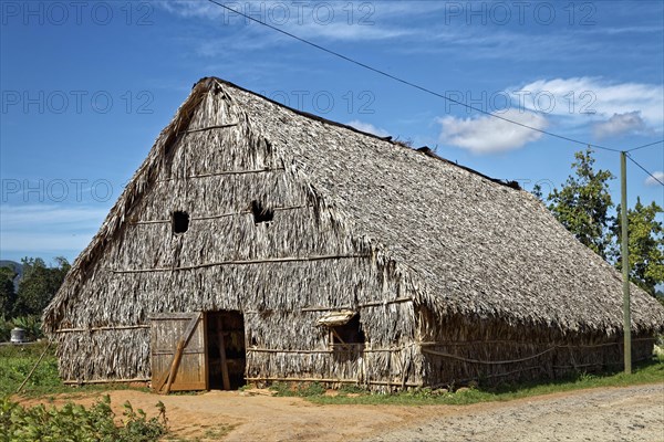 Barn for drying tobacco leaves