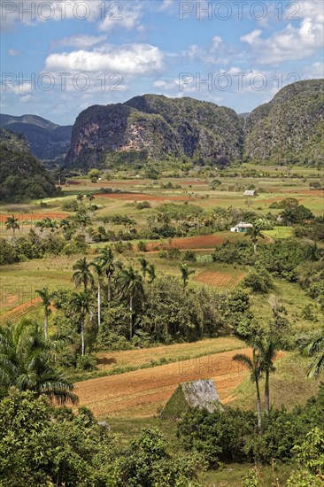 View from the Mirador Los Jazmines viewpoint of the landscape