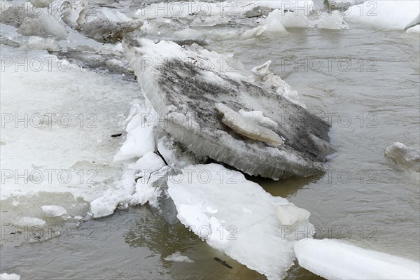 Pack ice in spring