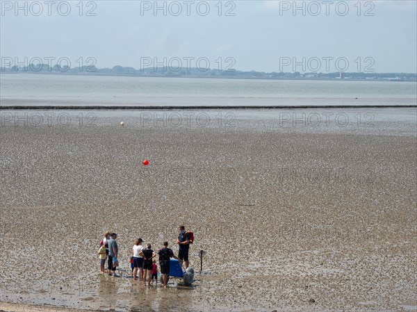 Set off on a guided mudflat walk on the coast of Butjadingen in the Lower Saxony Wadden Sea National Park
