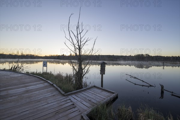 Wooden footbridge in the Schwenninger moss nature reserve