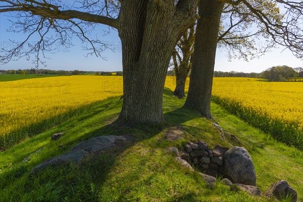 Megalithic grave Karlsminde