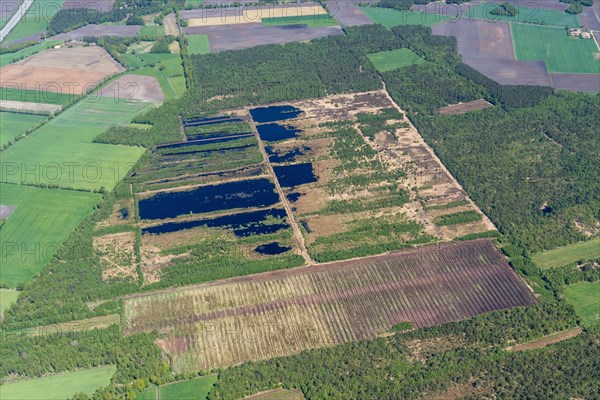 Small bog near Sothel