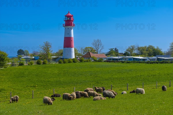 Falshoeft lighthouse