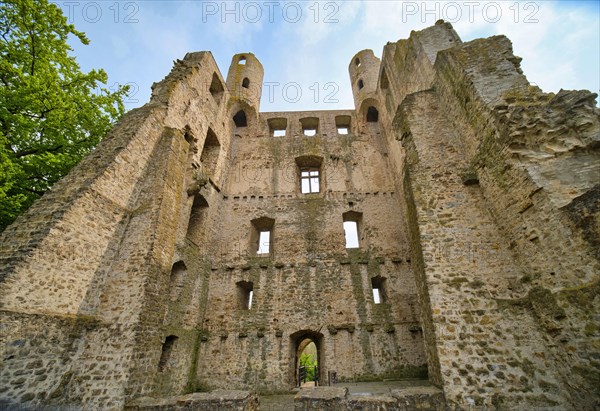 Hoher Schwarm Castle Ruin