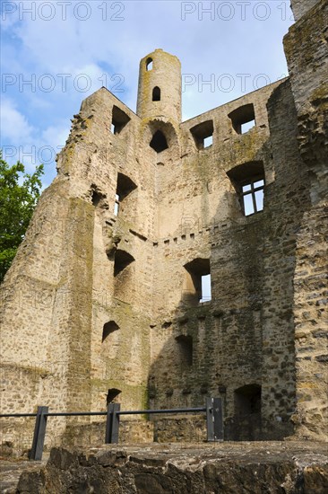 Hoher Schwarm Castle Ruin