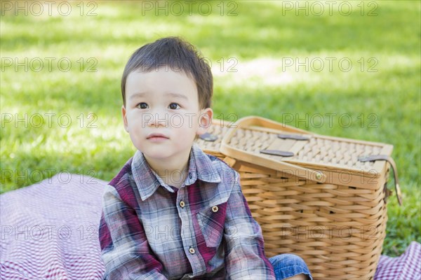 Cute young mixed-race boy sitting in park near picnic basket