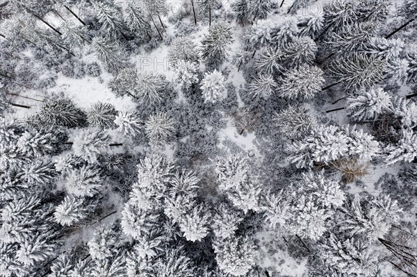 Drone photo