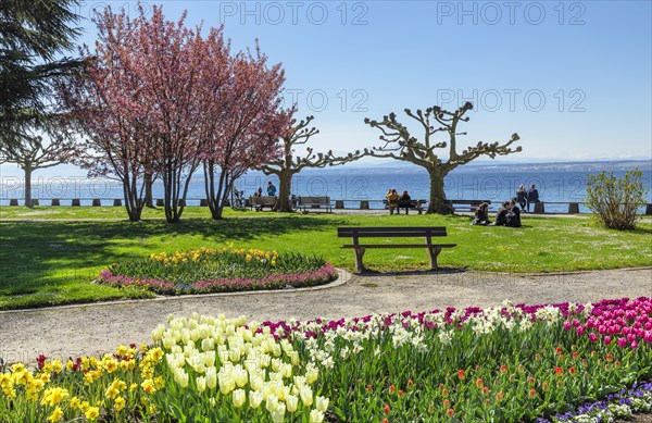 Lakeside park in spring
