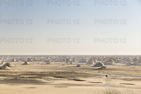 View over the white desert