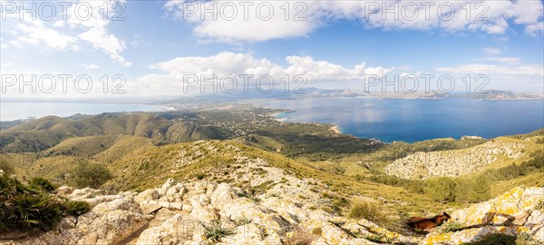 View from Talaia d'Alcudia